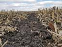 Yetter 2984 Strip Freshener, sávfrissítő, sávos magágykészítő, sávművelő