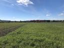 Keszthelyen 4 107 m²-es belterületi fejlesztési telek eladó