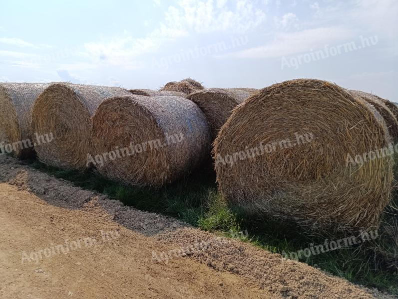 Szalmabálák eladók Nemesvámoson, 70 db szalma kedvező áron