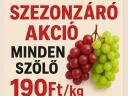 Minden szőlő akciós - ingyen bogyózva