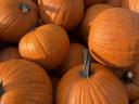 Halloween tök