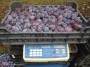 Szilva (Presenta) friss fogyasztásra,  lekvárnak vagy cefrének,  250 Ft/kg áron eladó