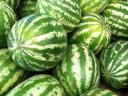 Dinnye eladó – friss Crimson Sweet dinnyék kis- és nagy tételben