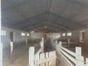 Állattartó és megkezdett téglaépület 6300 m²-es telken eladó