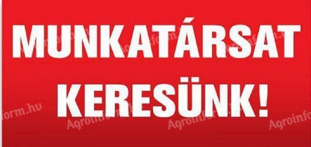 Baromfitelepre munkatársakat keresünk bentlakással