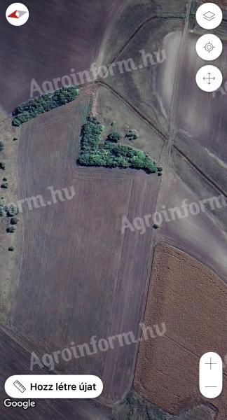 1.8 ha Szántóföld Jászboldogházán