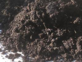 Érett istállótrágya szállítása Ercsi kiskertekbe