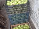 Alma eladó termelőtől - Golden, Idared, Granny Smith, Jonagold