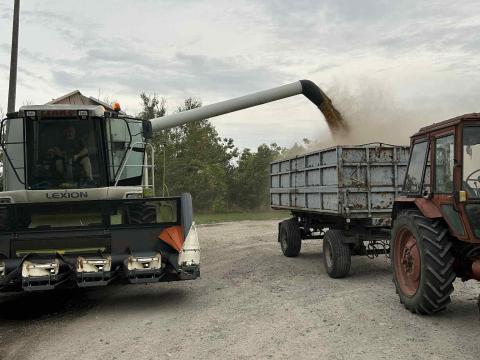 Napraforgó és Gabona Aratás Bérmunka Napraforgó és Gabona Aratás Bérmunka