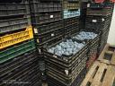 Szilva (Top Hit), kézzel szedett, kiváló minőségű friss gyümölcs fogyasztásra, lekvárkészítéshez Nyíregyházán, 350 Ft/kg áron eladó
