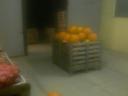 Halloween tök eladó