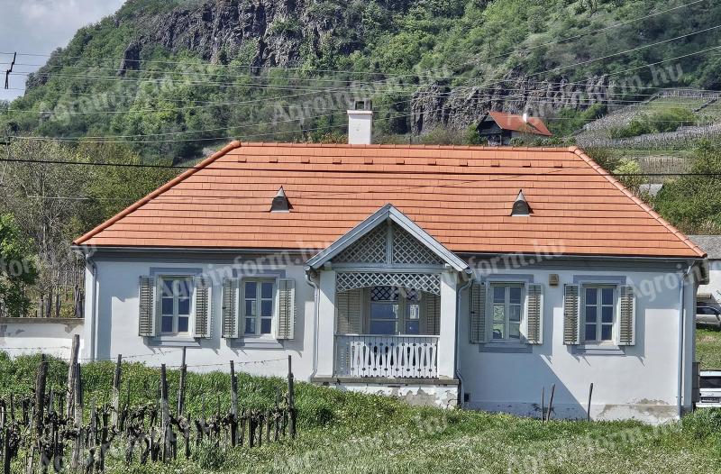 ~1 hektáros szőlőbirtok eladó a Somló-hegyen