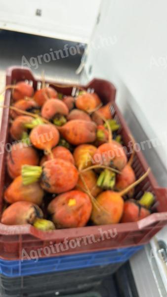 Eladó a termelőtől