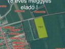 Eladó gyümölcsös 3,22 ha-on, 18 éves meggyfákkal