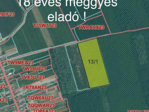 Eladó gyümölcsös 3,22 ha-on,  18 éves meggyfákkal Eladó gyümölcsös 3,22 ha-on,  18 éves meggyfákkal