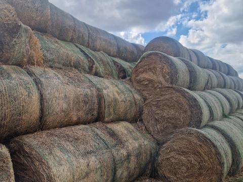 Körbálás széna eladó