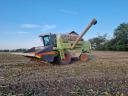 Claas Mega 208 kombájn C510 asztalkocsival eladó