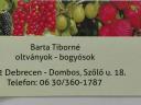 TÜSKE MENTES Szeder tő - DEBRECEN