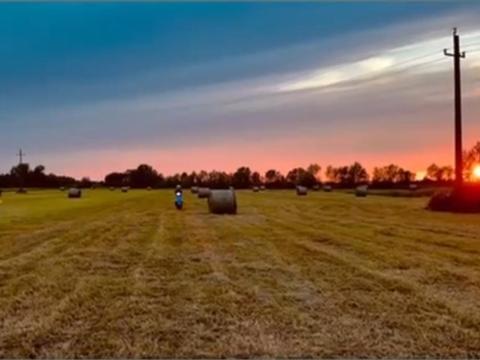 Eladó 1,6 ha szántó és legelő Fehérgyarmaton Eladó 1,6 ha szántó és legelő Fehérgyarmaton