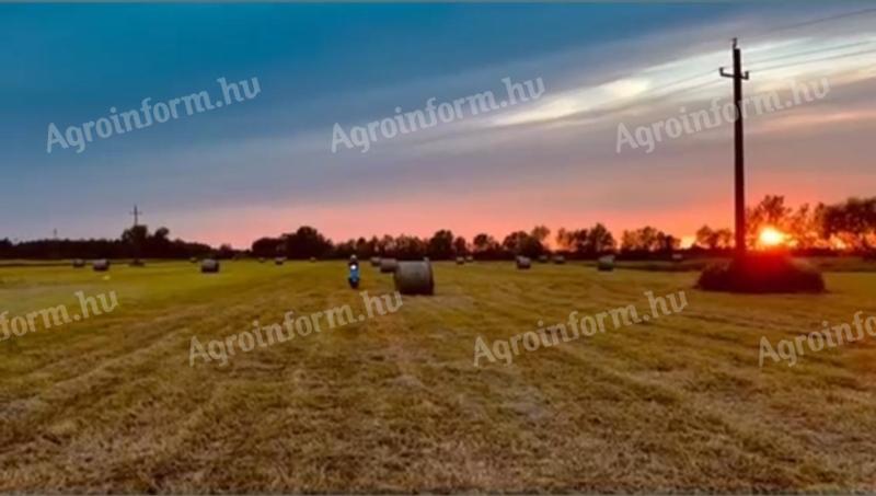Eladó 1,6 ha szántó és legelő Fehérgyarmaton