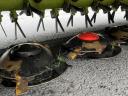 Claas Disco 9200 C Contour demós pillangó kasza eladó