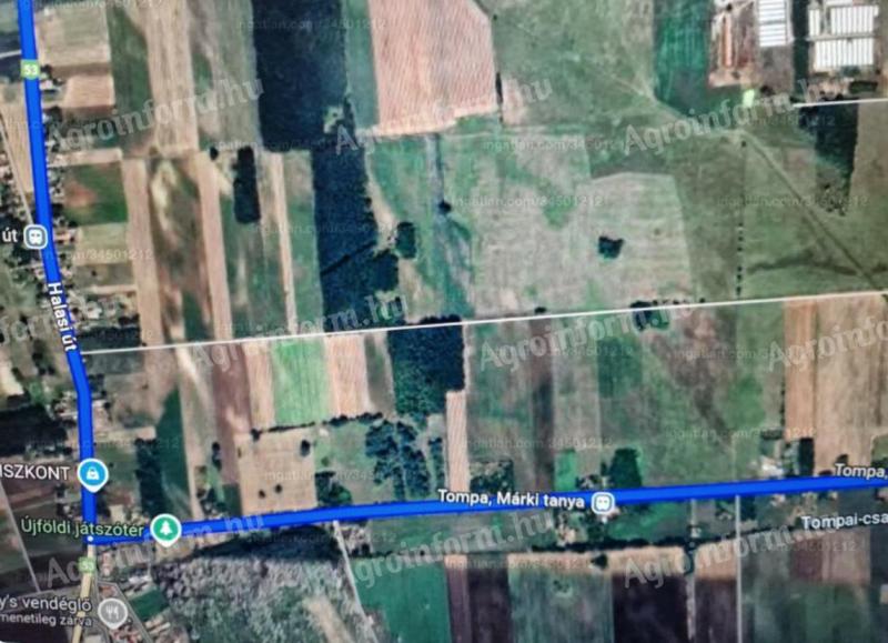 Tompán 7,2 ha szántó és legelő eladó