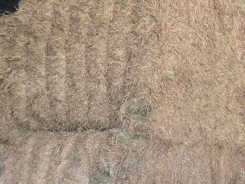 Széna nagykocka Széna nagykocka