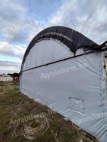300 m²-es szigetelt fóliasátor eladó Zákányszéken
