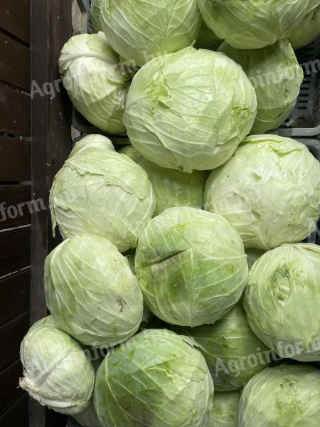 Fejes káposzta és gyalult káposzta eladó