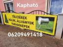 Fenyőfa tartó