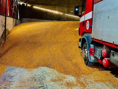 Kukorica 25 kg zsákokban . Kukorica 25 kg zsákokban .