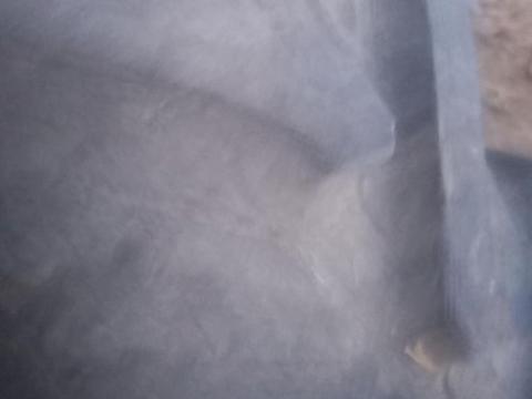 Elado Mtz elsö gumi Elado Mtz elsö gumi