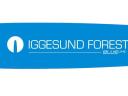 Iggesund BL2701-54