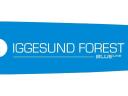 Iggesund IF2801-82 erdészeti gép alkatrész