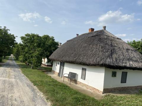 Eladó hangulatos présház szőlővel Buzsákon, közel a Balatonhoz Eladó hangulatos présház szőlővel Buzsákon, közel a Balatonhoz