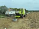Claas lexion 660 elado