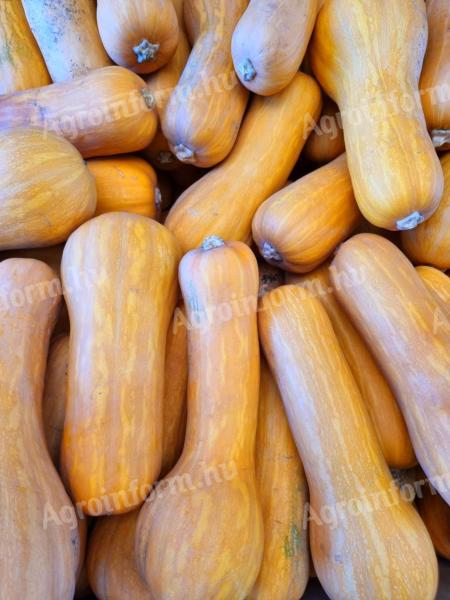 Bio Beja sütőtök eladó! Méz édes