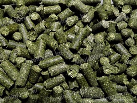 Ökológiai lucernapellet magas fehérjetartalommal, nagy tételben – 2025-ös betakarítás, 30 tonna készleten