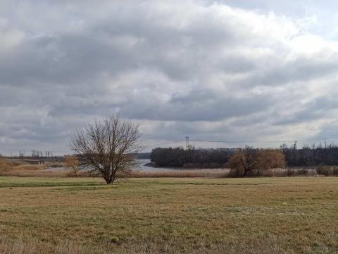 Erdő eladó Erdő eladó