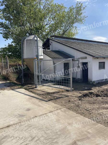 Használt sertéstenyésztési technológia eladó