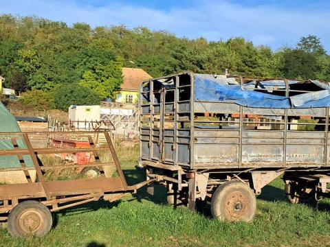 Állatszállító eladó Állatszállító eladó