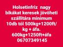 Holsteinfriz bikákat keresek exportra