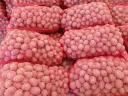 Evolution burgonya eladó 25-45mm