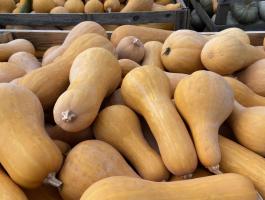 Sütni való tök eladó Dunaföldváron