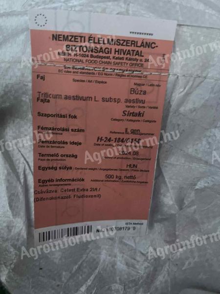 Sirtaki búza vetőmag eladó