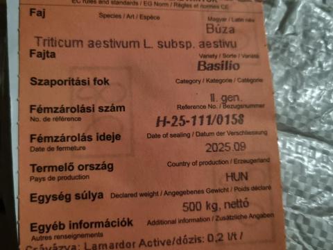 Őszibúza vetőmag eladó Őszibúza vetőmag eladó
