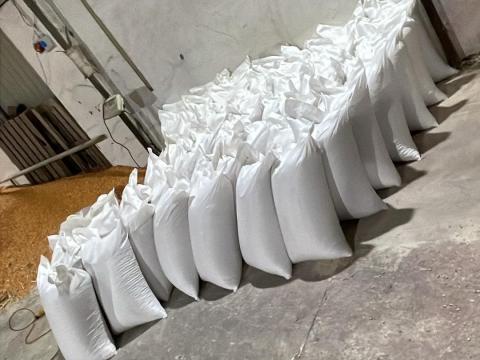 Búza zsákolva Búza zsákolva