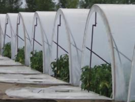 Mezőgazdasági munkát vállalunk dolgozni akaró és tudó csapattal