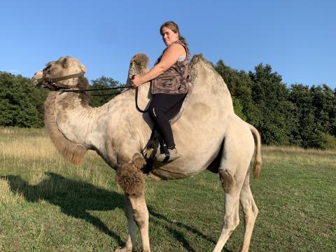 Tevegelési lehetőség gyönyörű környezetben Tevegelési lehetőség gyönyörű környezetben