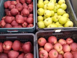 8 fajta, 1. osztályú étkezési alma eladó Újpesten